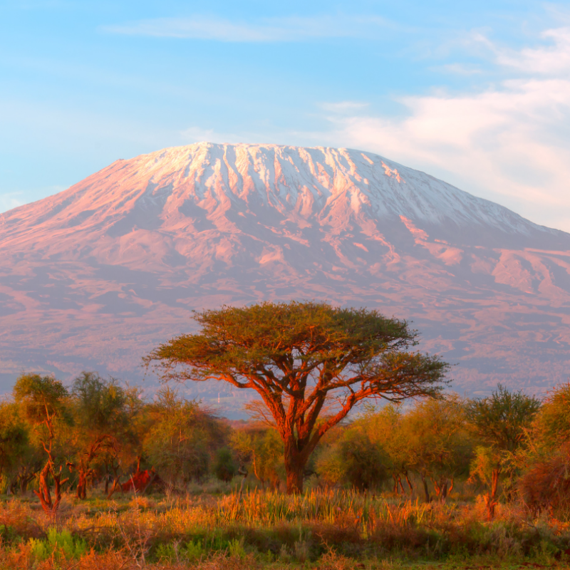 Hoe zwaar is het om de Kilimanjaro te beklimmen?