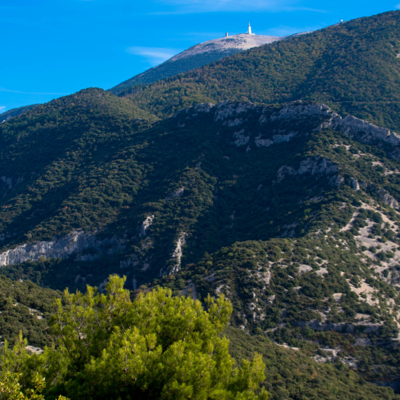 Hoeveel doden op de Mont Ventoux