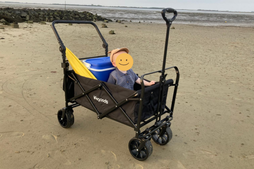 Lifegoods-120-bolderkar-review-lifegoods-120-bolderkar-ervaring-beste-bolderkar-goedkope-bolderkar-bolderkar-voor-kinderen-strand