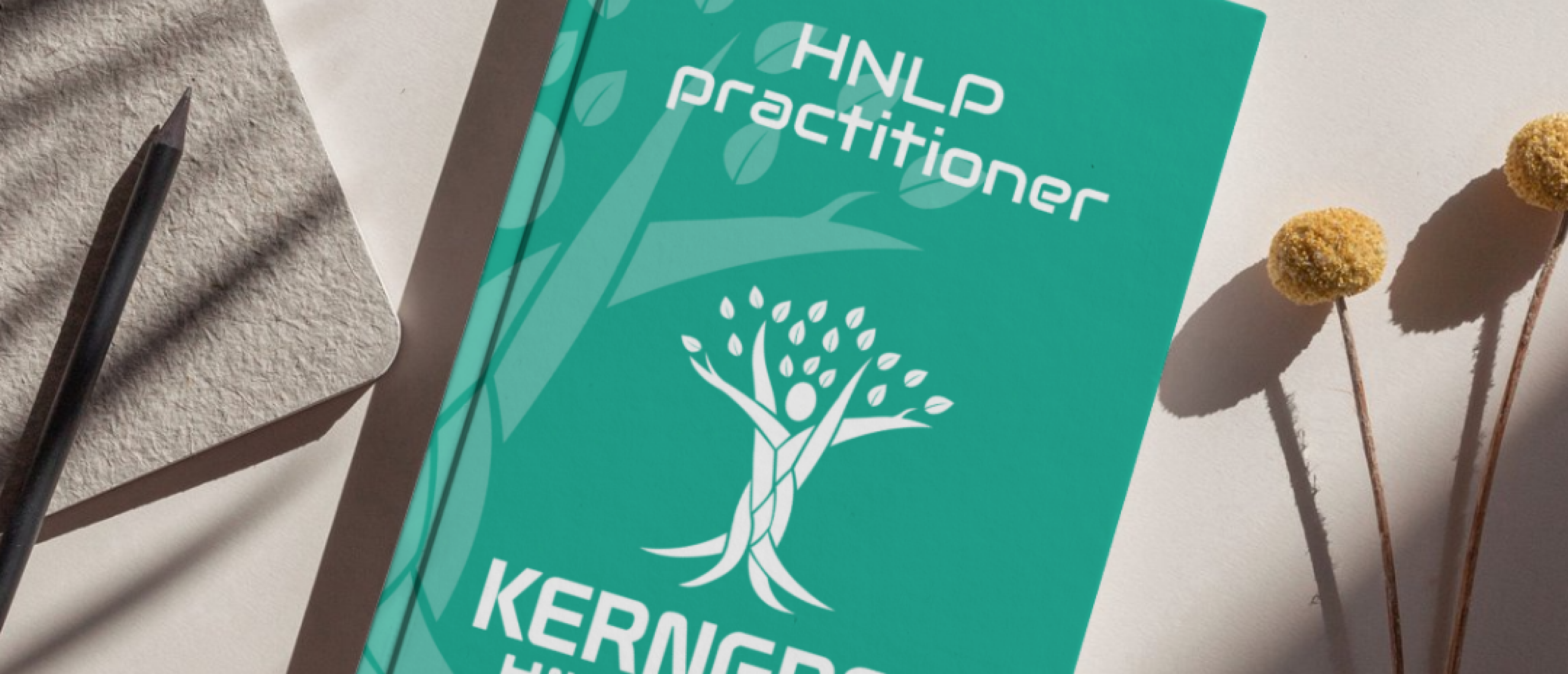 HNLP Practitioner opleiding: Exclusief, maar toegankelijk voor iedereen die wil groeien