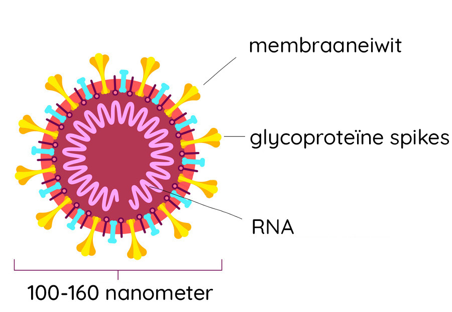 Elementen van het coronavirus