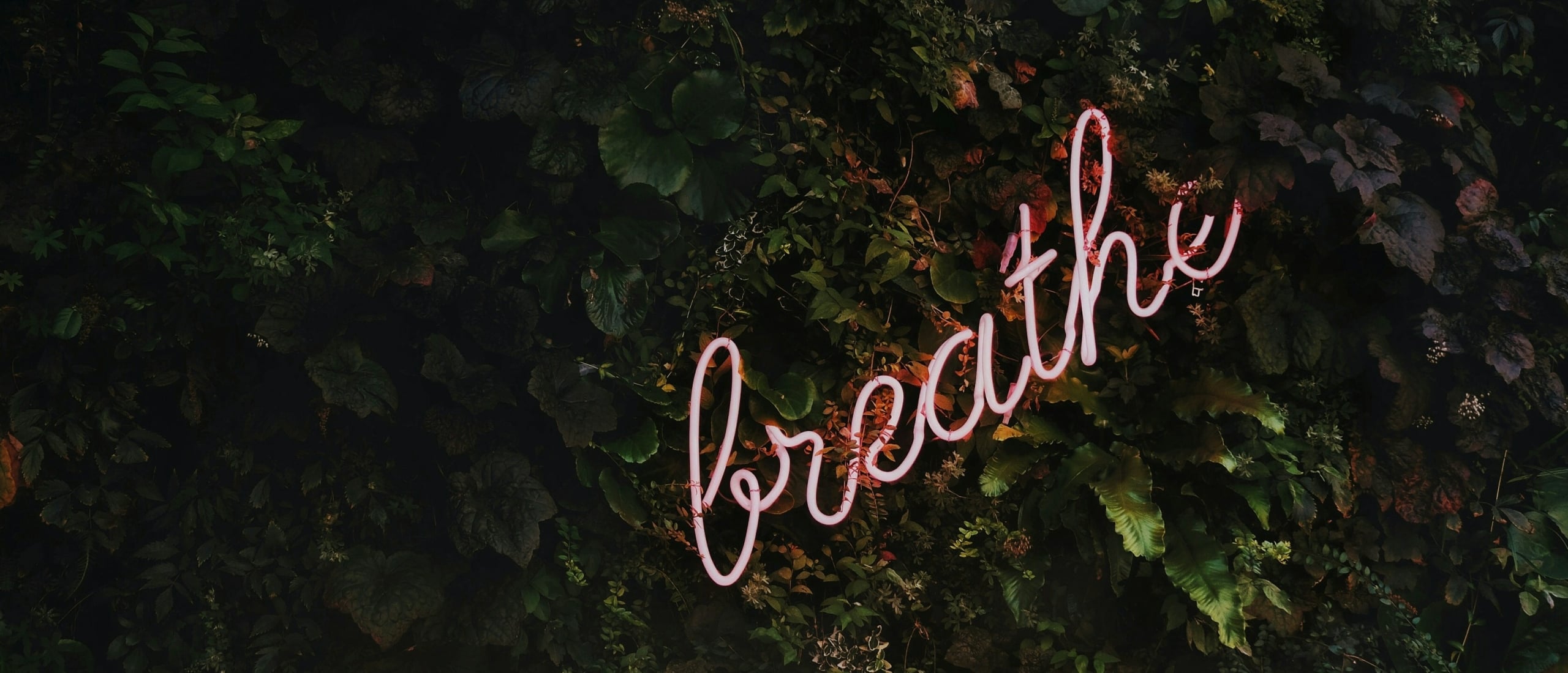 Cognitieve gedragstherapie bij burn-out: wat kun je verwachten?