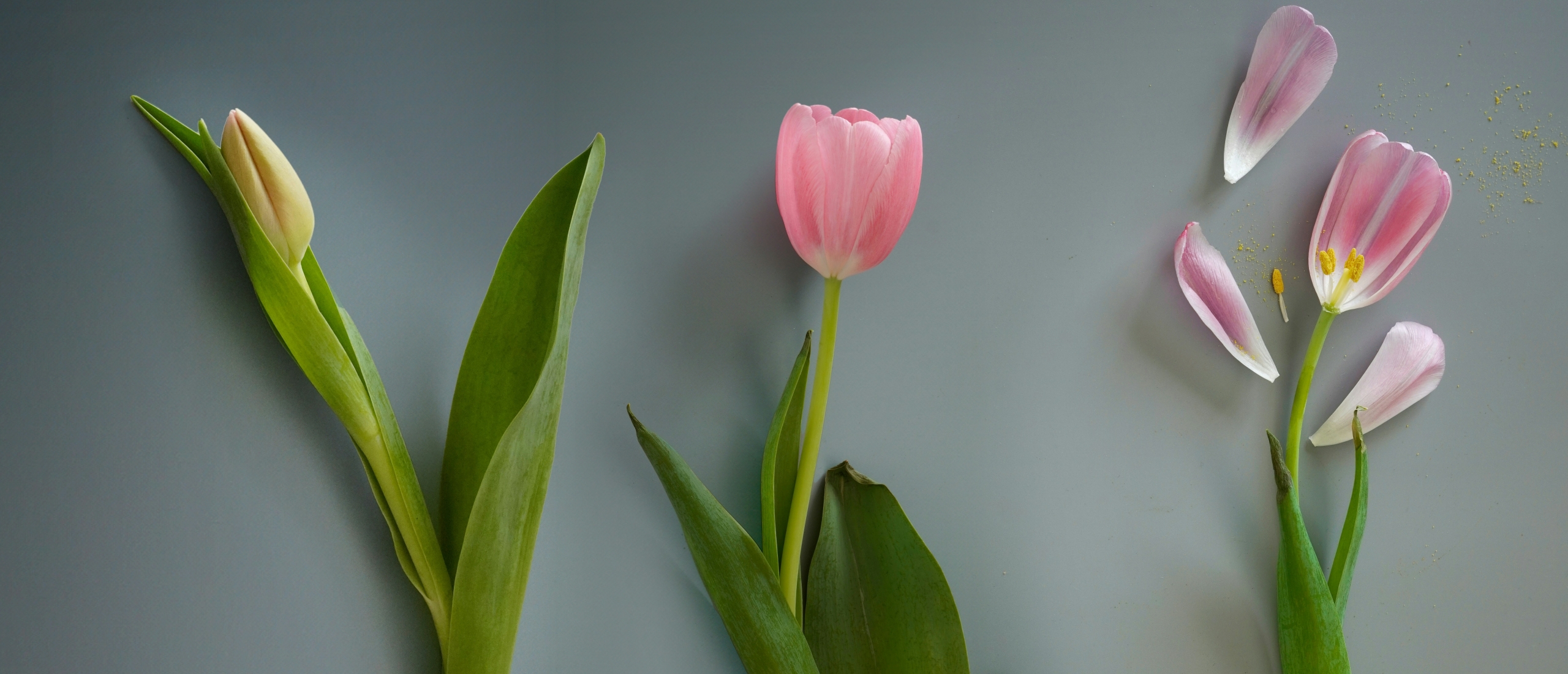 Waarom vrouwen vaker burn-out krijgen dan mannen