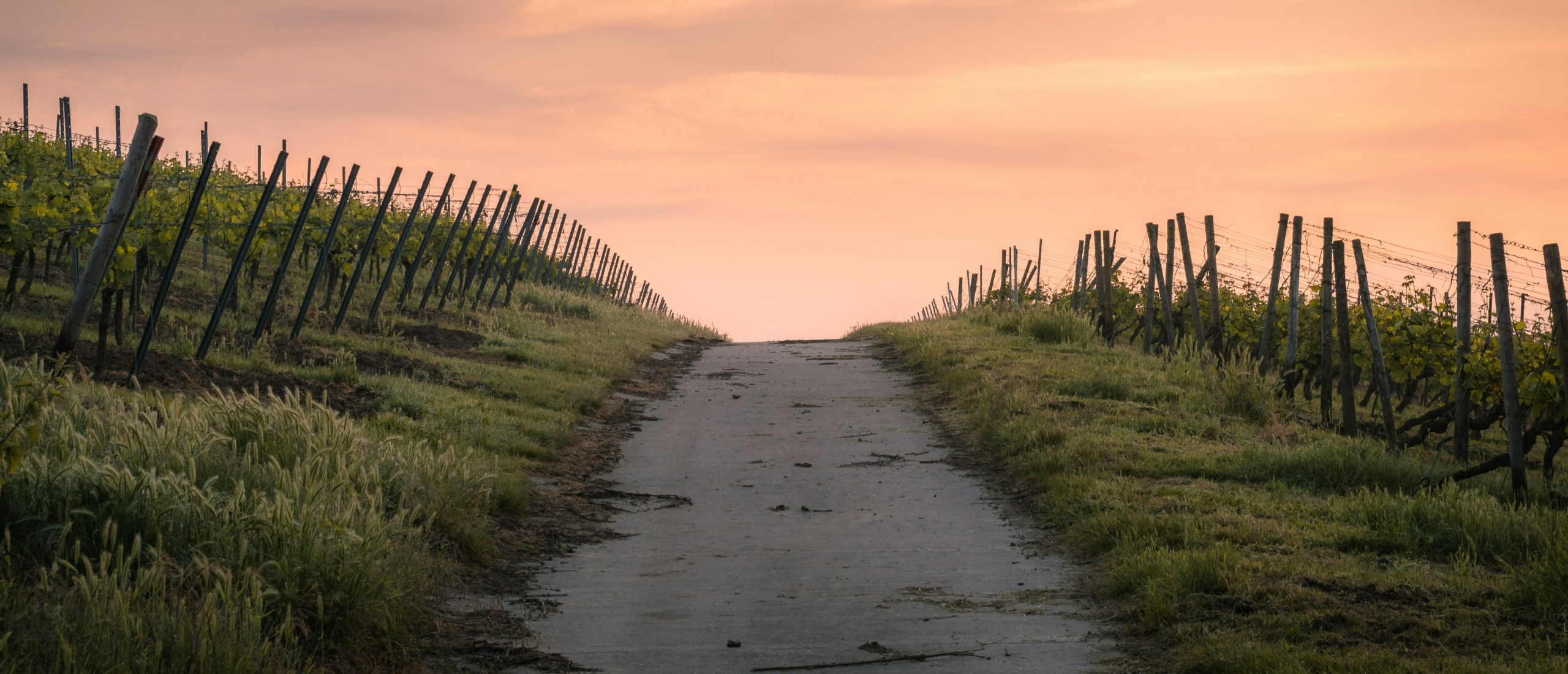De eerste stappen na de diagnose burn-out