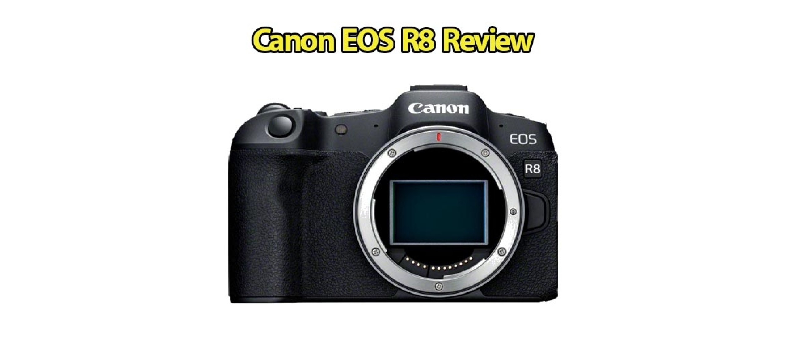 Canon EOS R8 Systeemcamera Review