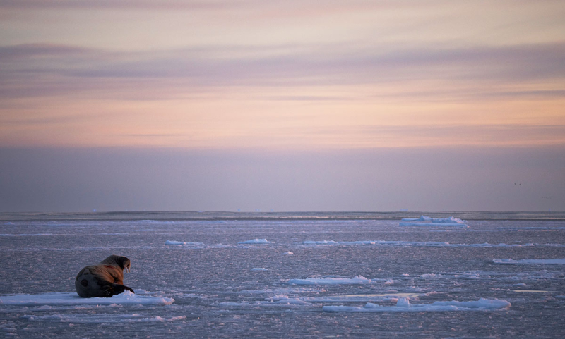 Spitsbergen winter fotografie reis trip