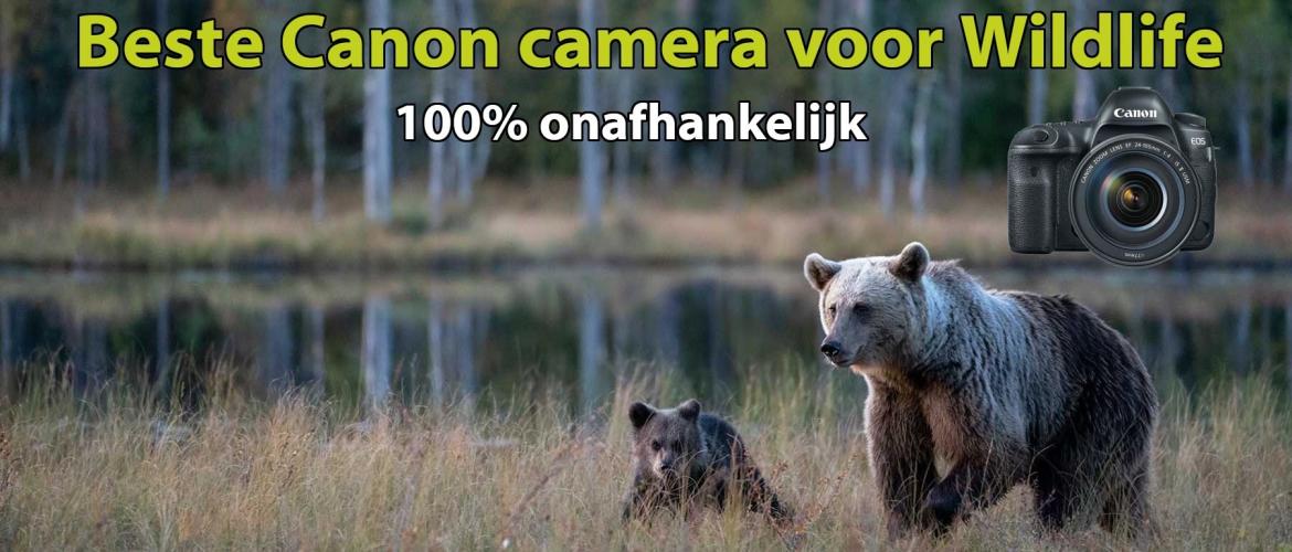 Beste Canon camera voor Wildlife fotografie