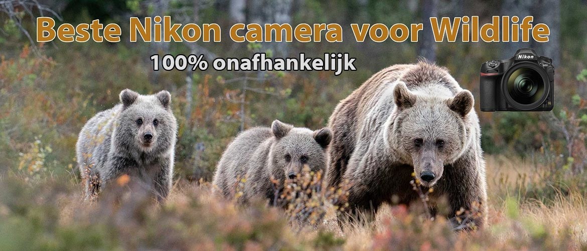 Beste Nikon camera voor wildlife fotografie