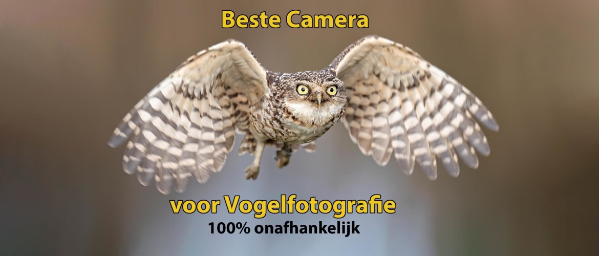 Beste camera om vogels te fotograferen