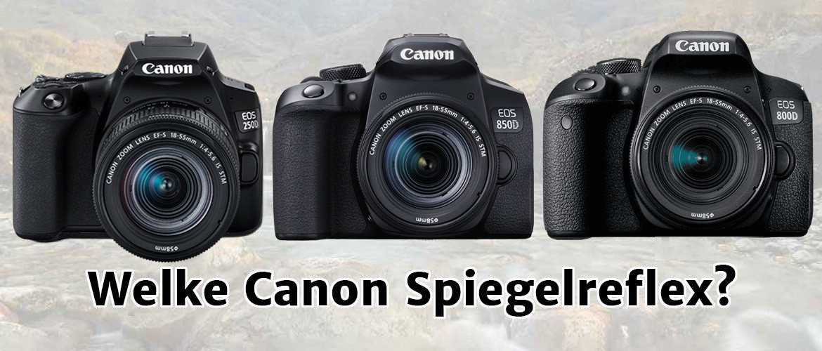 Verschil Canon EOS 850D, 250D en 800D spiegelreflexcamera