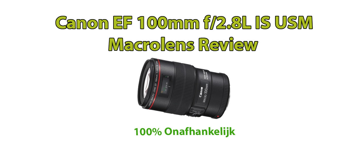 Canon EF 100mm f/2.8L IS USM Macrolens Review