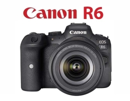 Canon R6 cursus workshop priveles