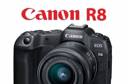 Canon R8 cursus workshop instellingen of priveles
