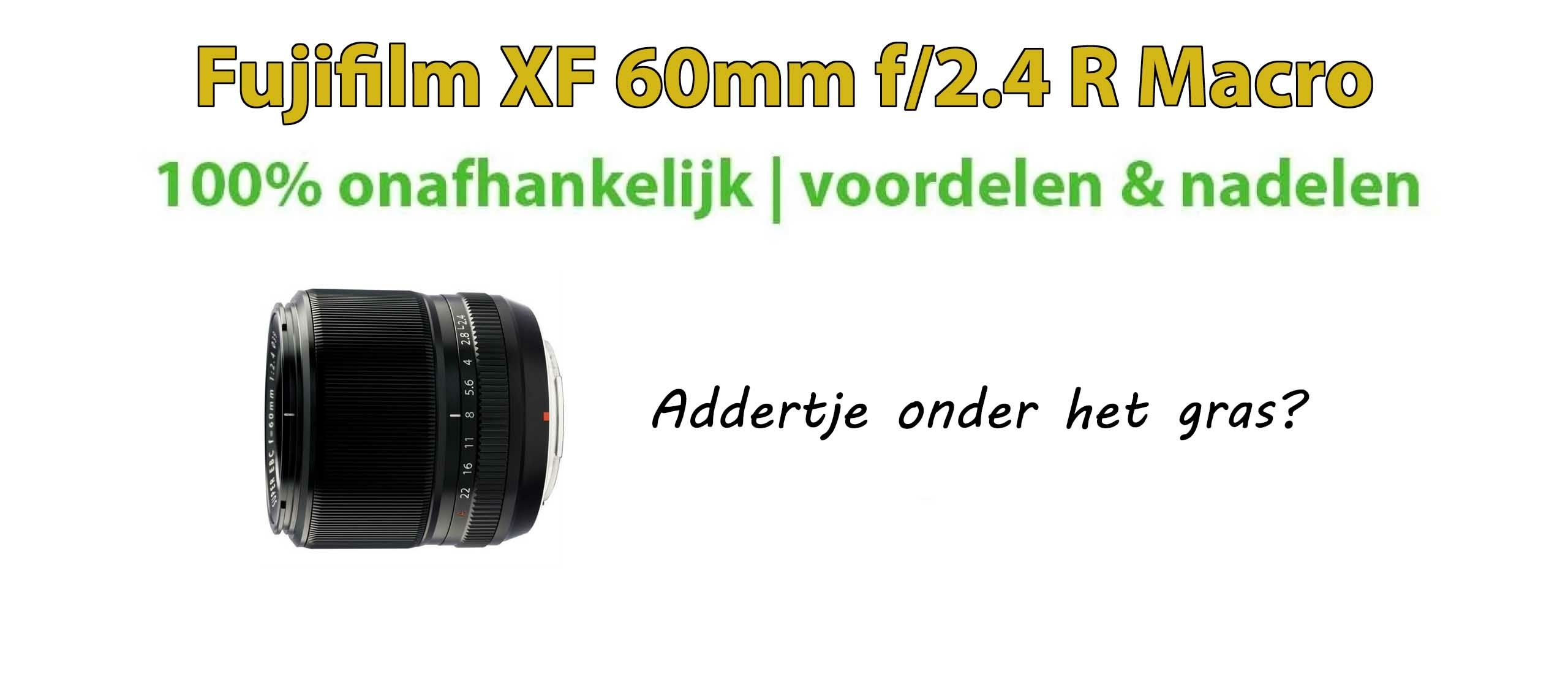 Fujifilm XF 60mm f/2.4 R Macro Review