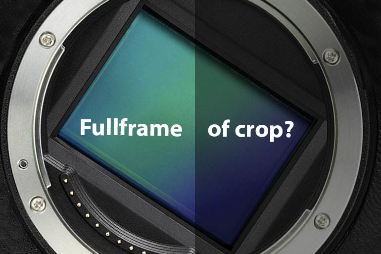 boeren slikken Dubbelzinnigheid Fullframe camera of Crop: voordelen & nadelen