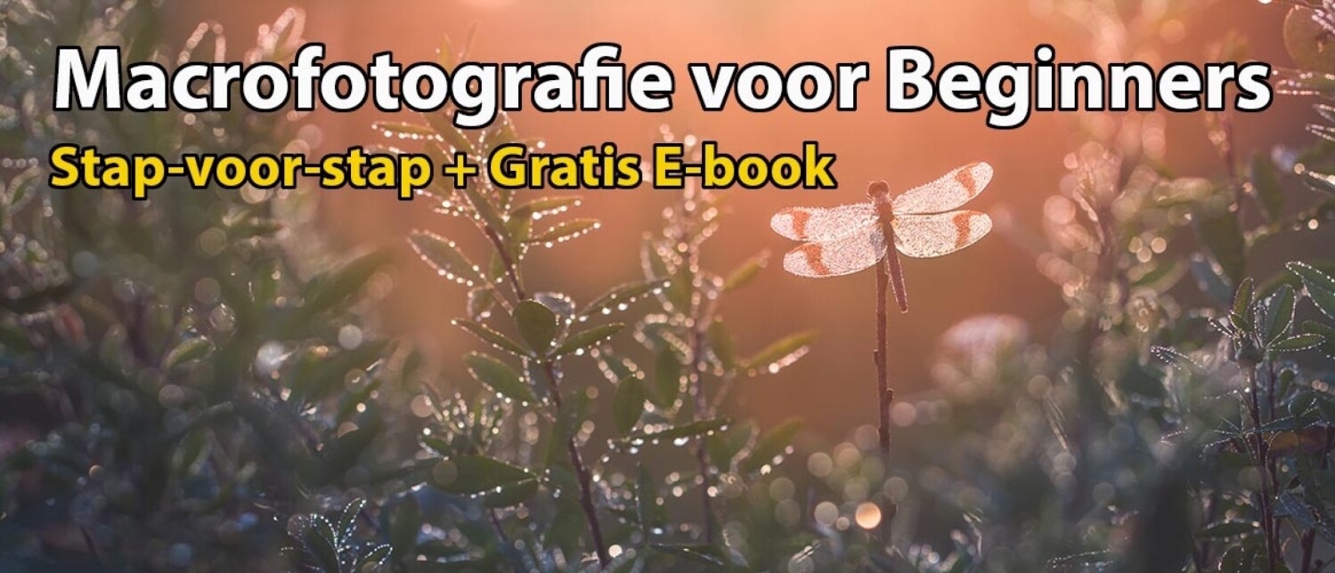 Wat is sluitertijd in fotografie en welke kies je? | Duidelijke Video