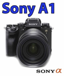 Sony A1 cursus instellingen