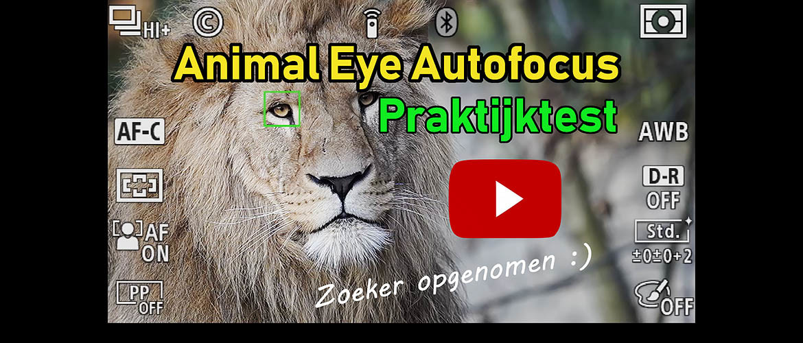 Animal Eye Autofocus (AF) van Sony: Praktijktest met Video