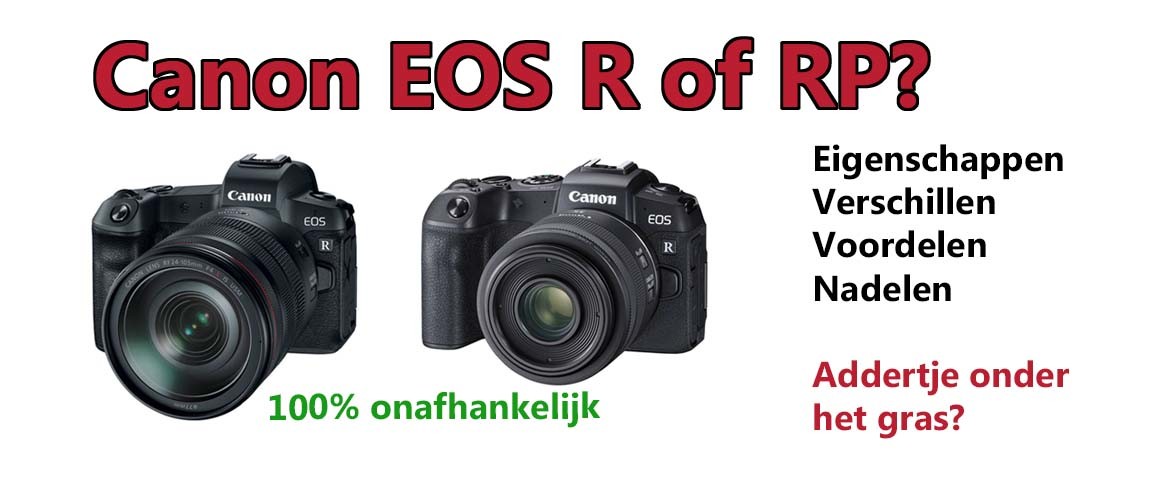 Verschil tussen de Canon EOS R en Canon EOS RP: voordelen & nadelen