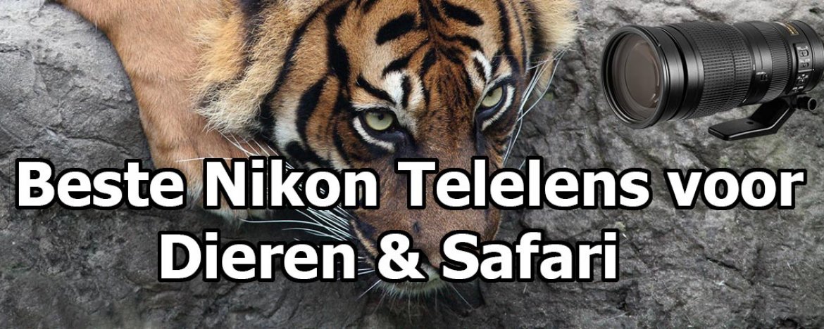 Beste Nikon Telelens voor dieren en safari