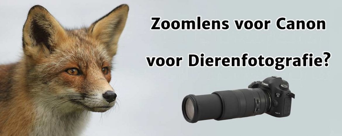 Welke Canon zoomlens voor dierenfotografie of safari?