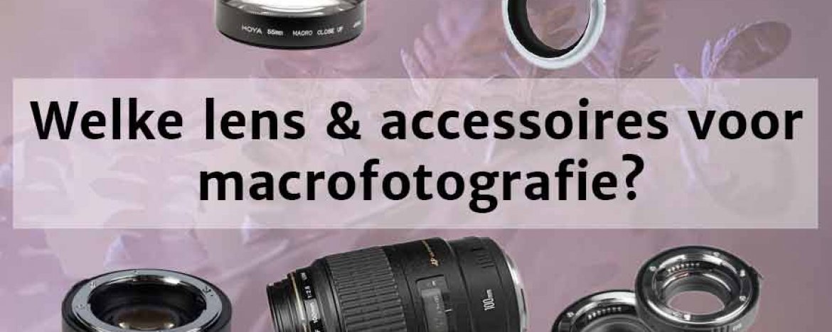 Welke lens en accessoires voor Macrofotografie? Hulpmiddelen & Trucs voor meer resultaat