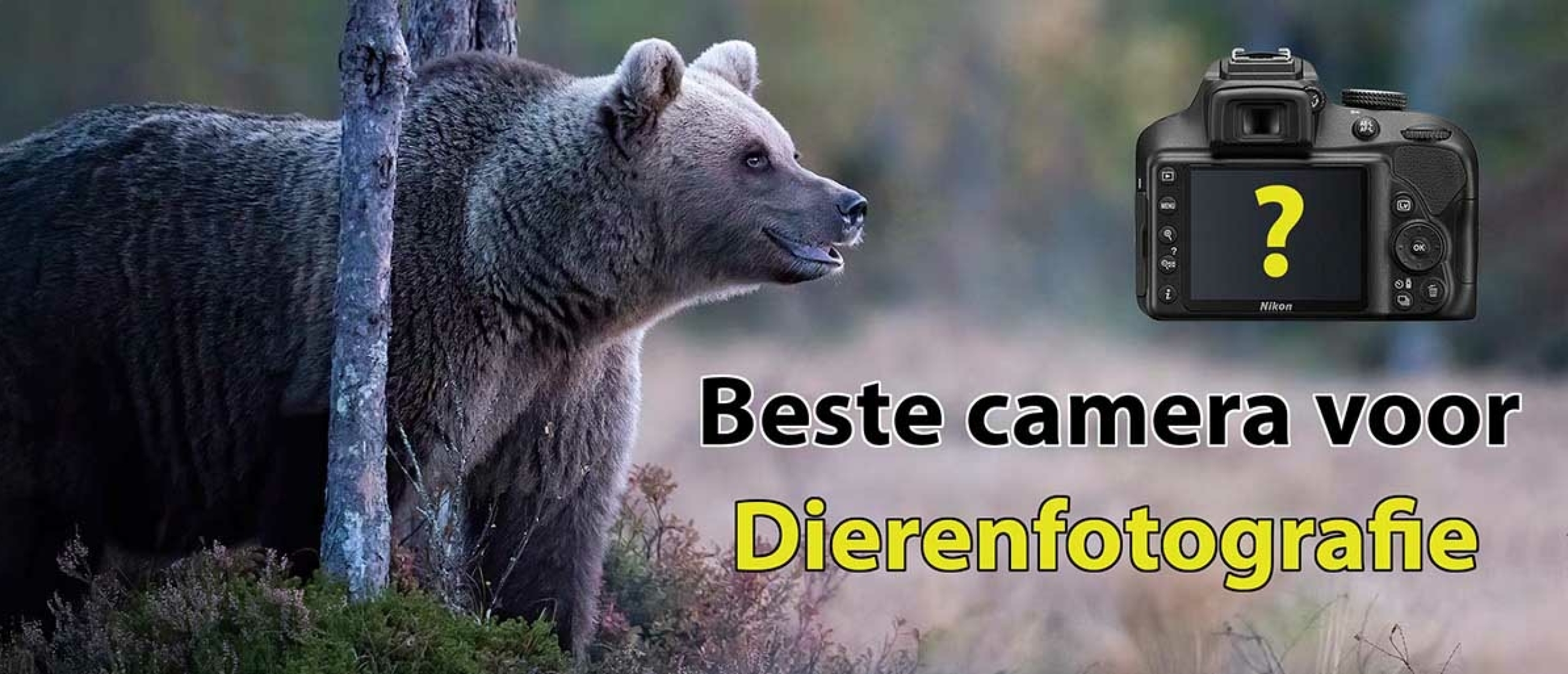 Beste camera dierenfotografie