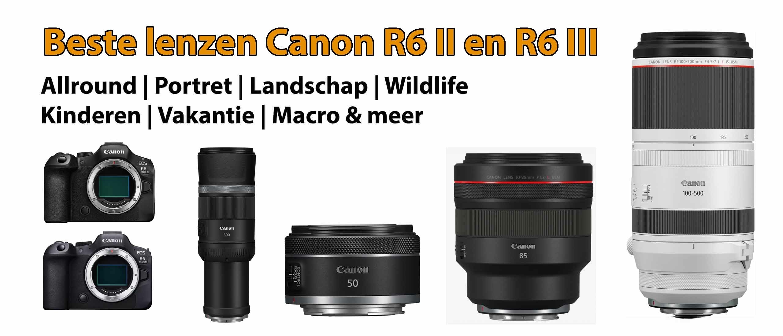 Beste lenzen Canon R6 II en R6 III