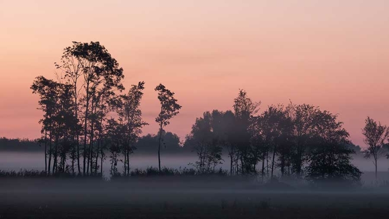 Sony RX10 V instellingen landschap en natuur