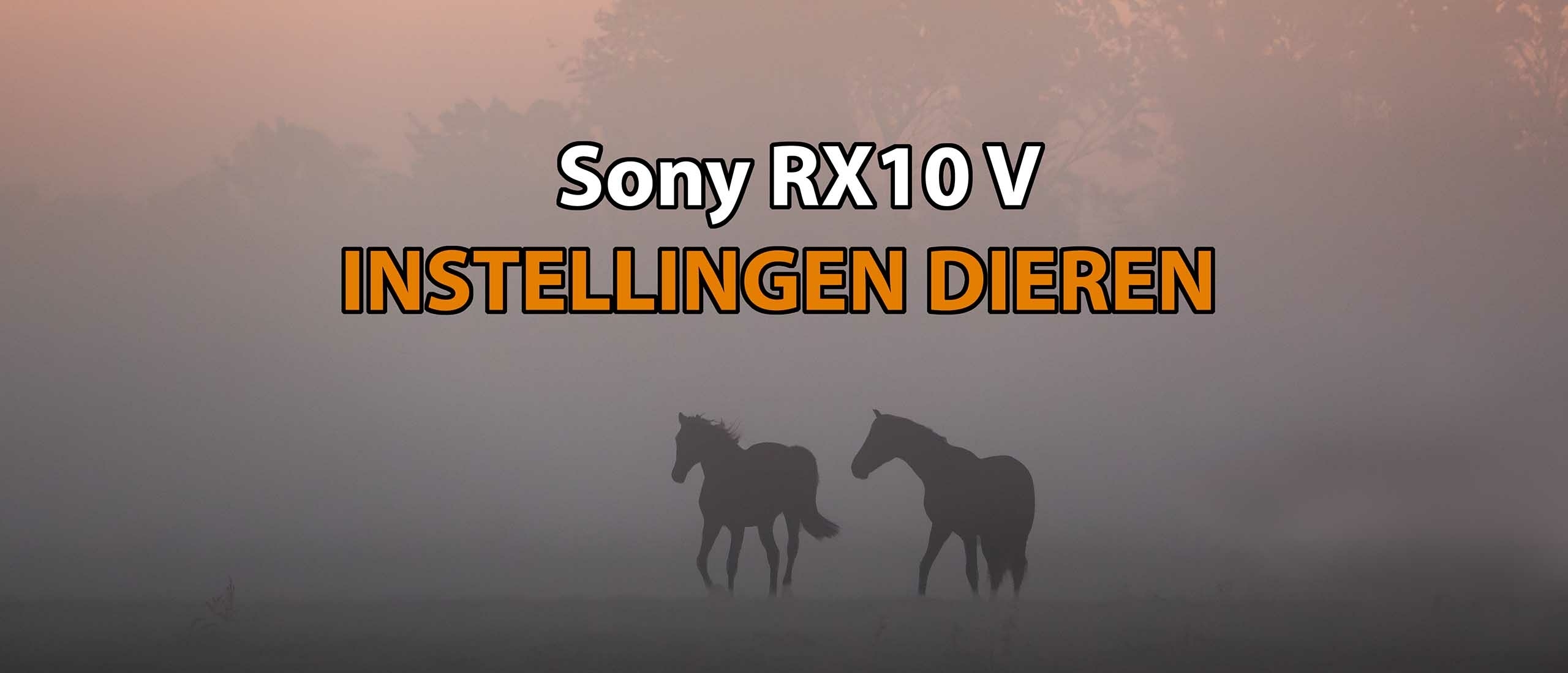 Sony RX10 V Instellingen Dieren fotografie