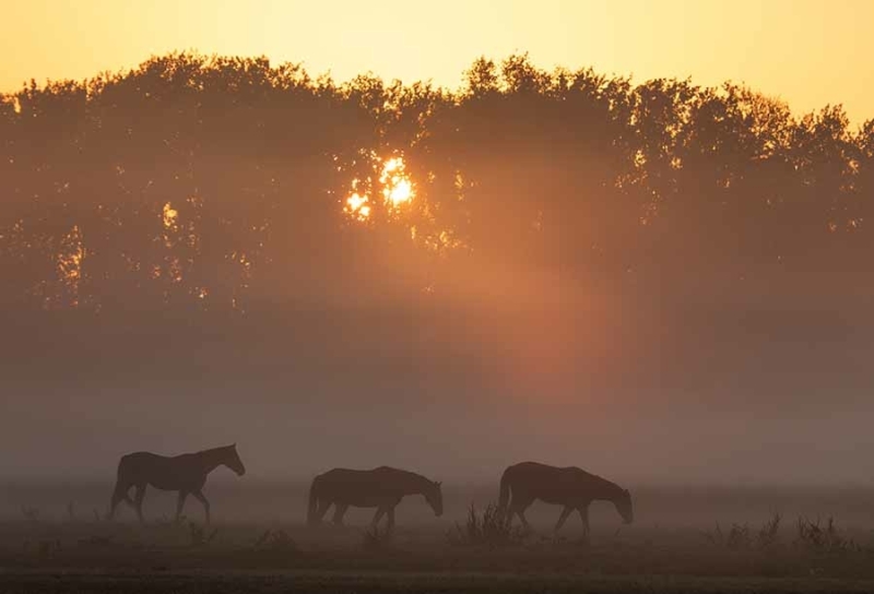 Sony RX10 V instellingen natuurfotografie en landschap