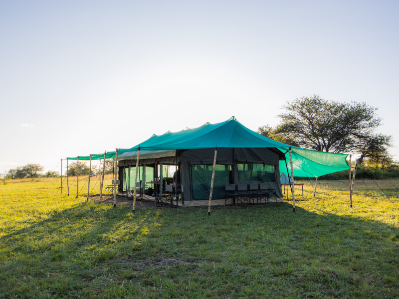 LEGENDARY SERENGETI MOBILE CAMP (Serengeti National Park, Tanzania) -  foto's en reviews - Tripadvisor