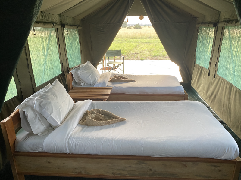 Kimbilio Serengeti Camp Twin Room
