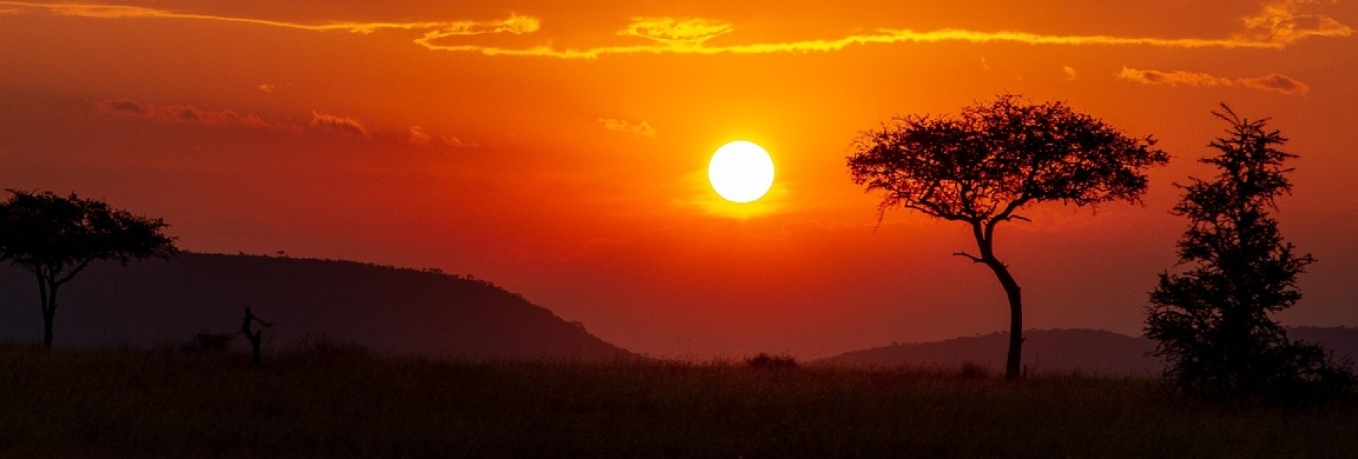 Serengeti Sunset Camp