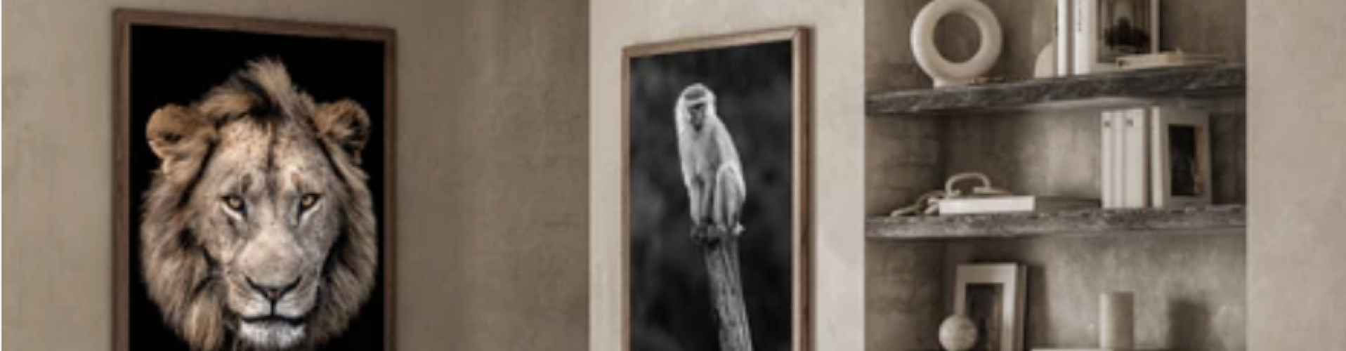 Buy Wildlife Prints by Kim Paffen or license an image
