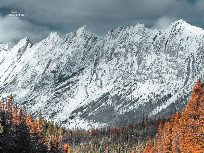 Jasper National Park Canada in Winter season