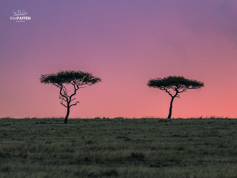 Landscape Photography Maasai Mara Kenya: Desert Dates