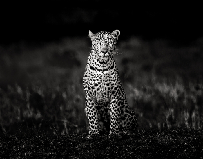 travel and wildlife photographer Kim Paffen