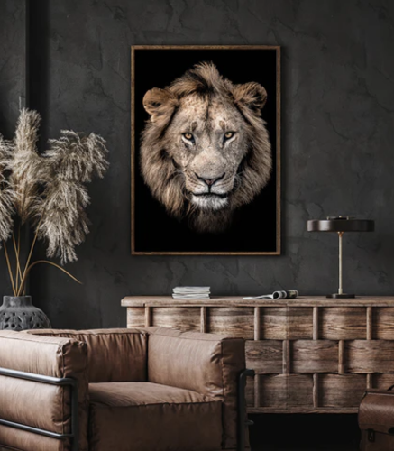 Framed Lion Portrait of Lerai by Kim Paffen