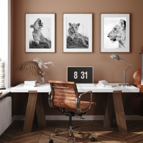 Framed Wildlife Images to decorate your interior