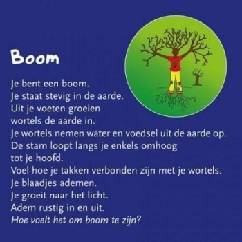 boom boom