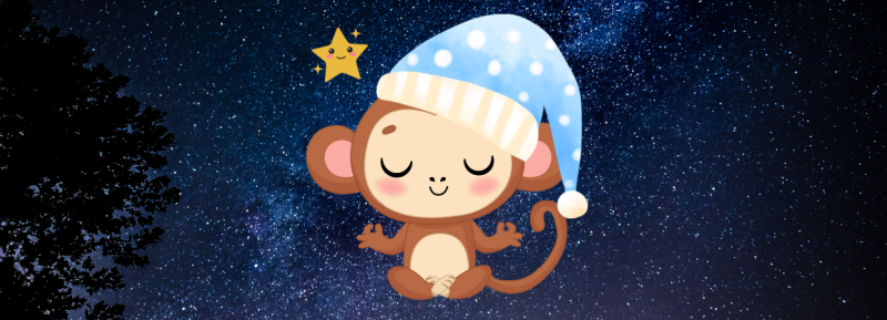 Slaaapie banner