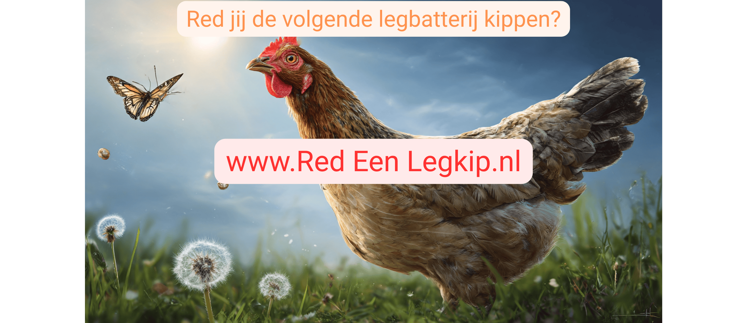 legkip-redden-10-redenen-gids-dierenwelzijn