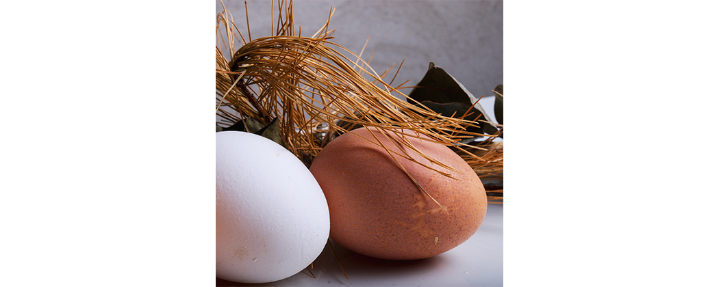Hoe kan ik kippen (broed)eieren het beste bewaren?