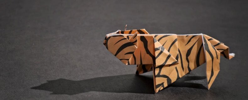 Transformeren: een papieren tijger of succesvol praktijkverhaal?