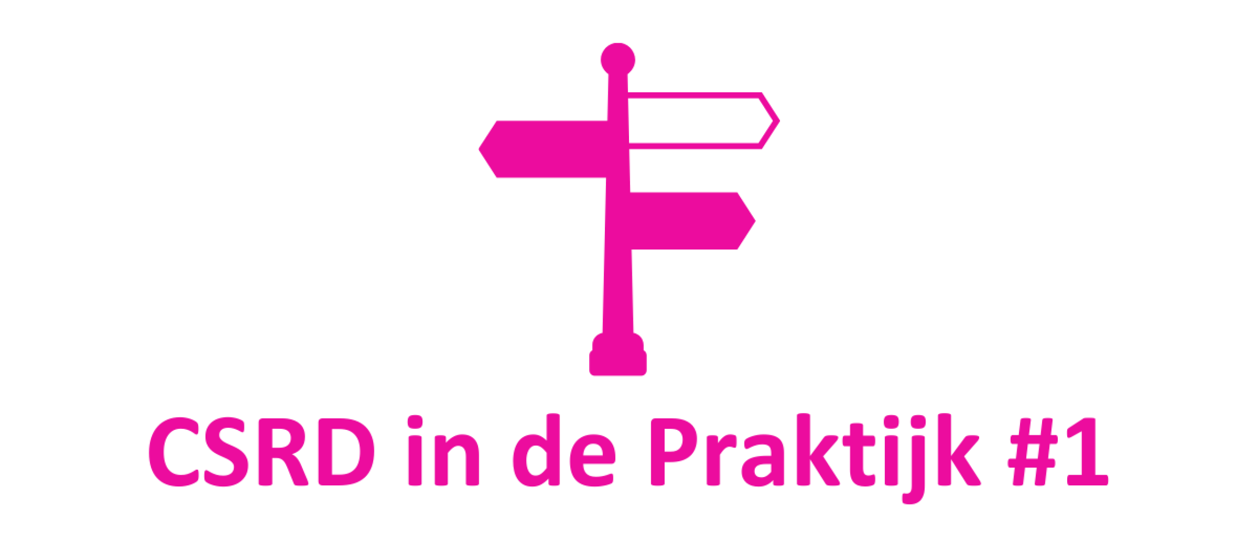 CSRD in de praktijk #1