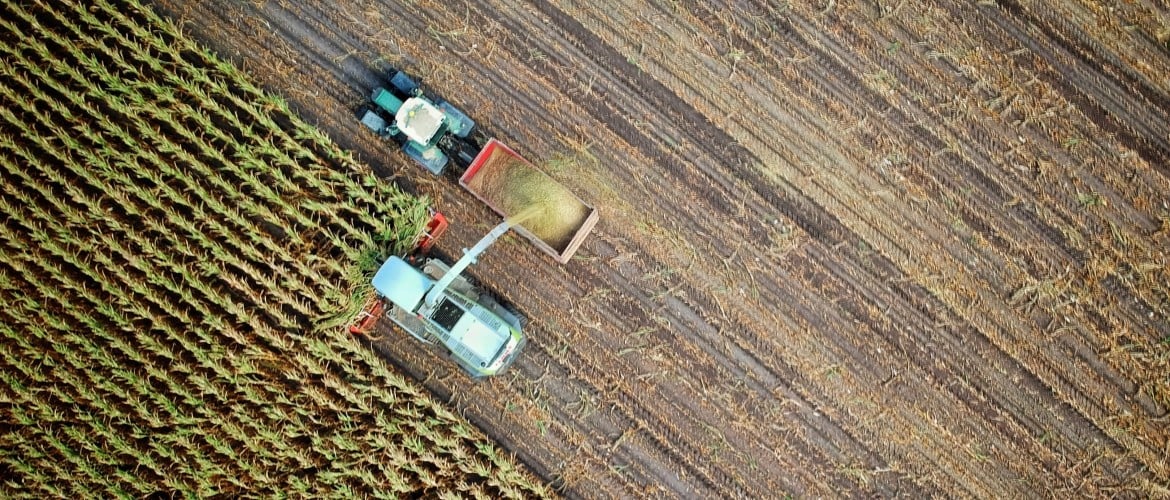 Boeren, Burgers en Biodiversiteit: de weg vooruit met Herenboeren als kraamkamer