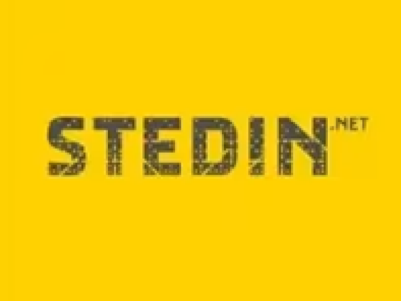 Logo Stedin