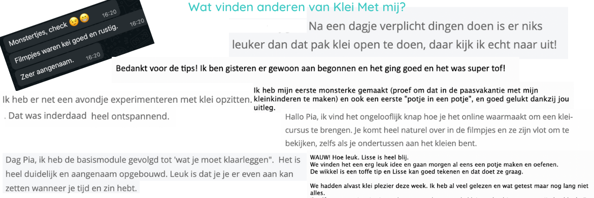 Enkele testimonials