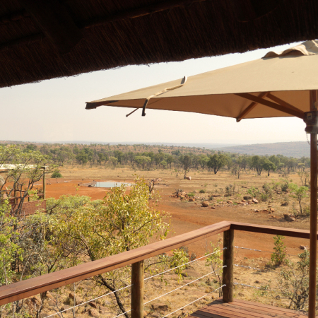 Mhondoro Safari Lodge & Villa